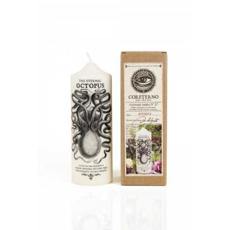The eternal Octopus,... 2