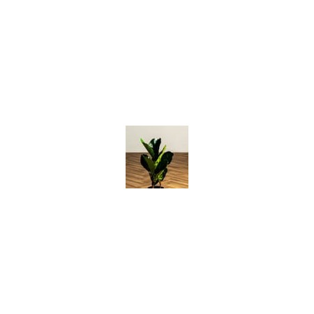 Φίκος Φυτό Τεχνητό Plant... 2