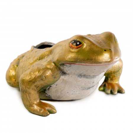 FROGS - 101 2