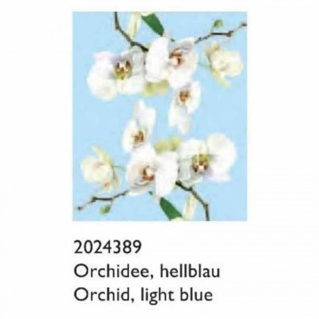 Πανάκι Μικροϊνών - Orchid... 2
