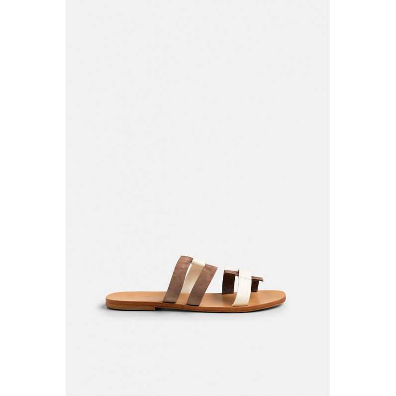 Pelagos~Puro