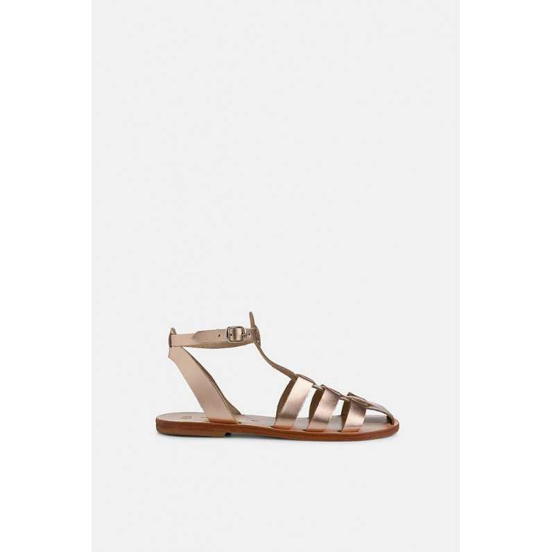 Kleos~Bronze