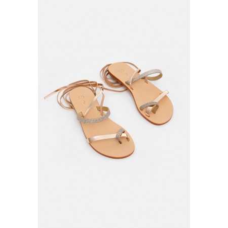 Fos~ Bronze 2
