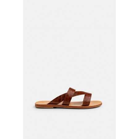 Akti~Brown