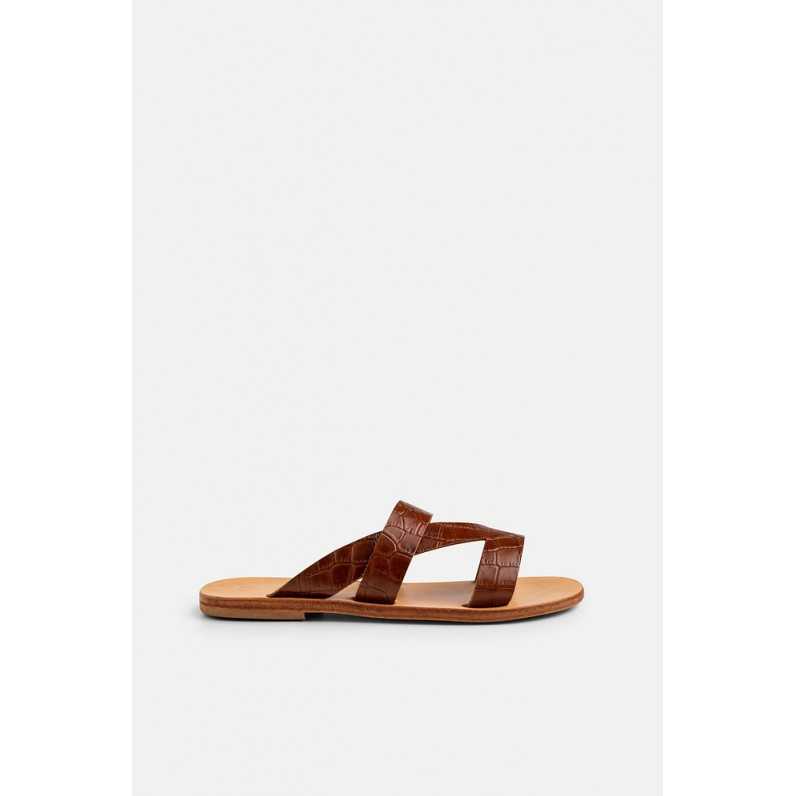 Akti~Brown