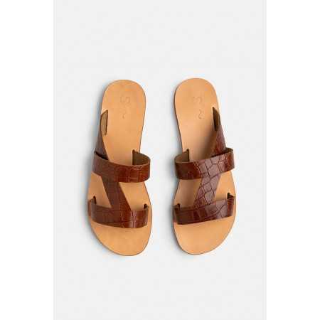 Akti~Brown 2