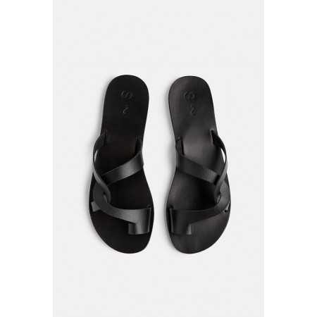 Corali~Black 2