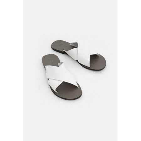 Kohili~White 2