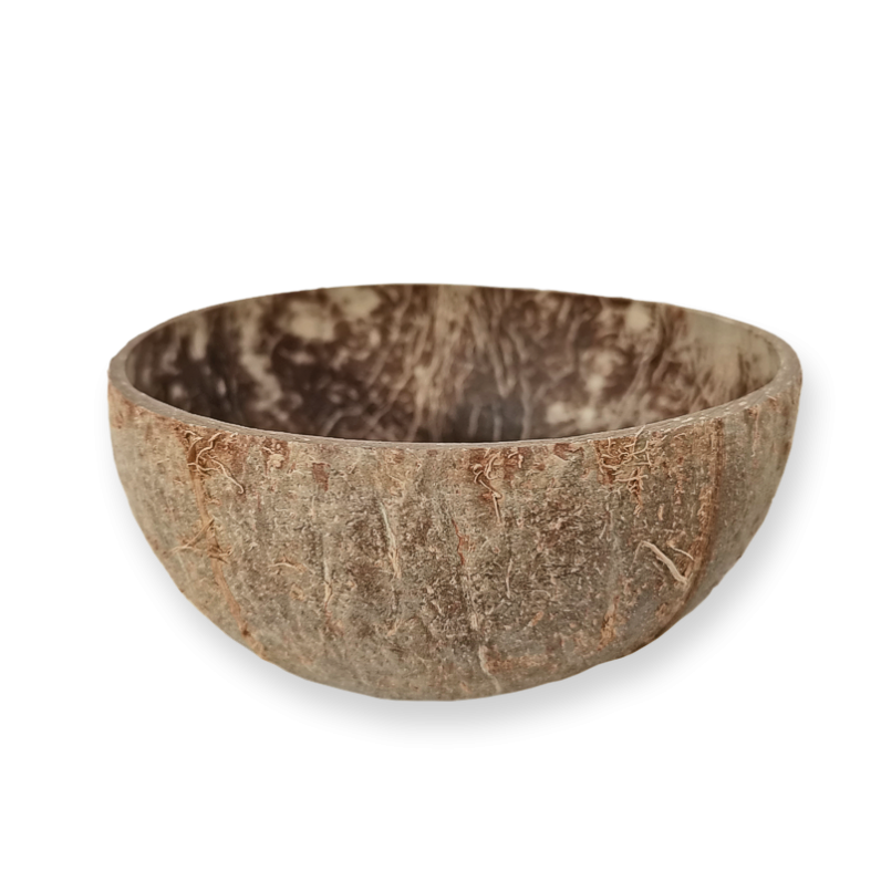 Coconut Vegan Bowl  (rough)| Υ 6cm...